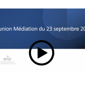 Webinaire médiation