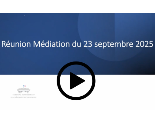 Webinaire médiation