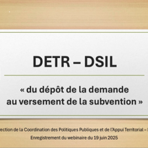 Page de présentation visio DETR DSIL