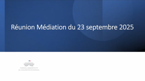 Visio médiation